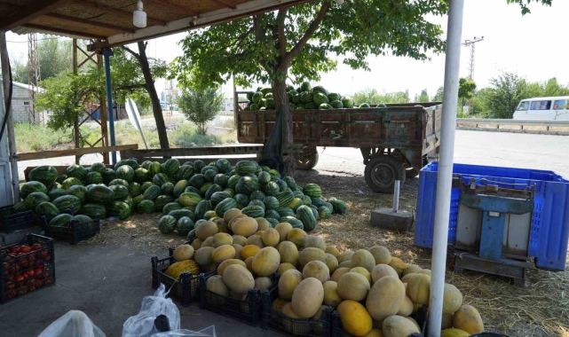 Doğu'nun Çukurova'sından çevre illere sebze ve meyve satılıyor
