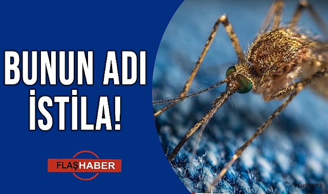 DURUM KRİZ BOYUTUNA ULAŞTI!