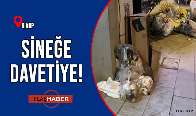 DUYARSIZLIĞIN BÖYLESİ!