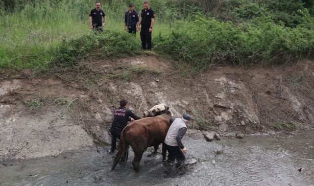 Düzce itfaiyesi 857 olaya müdahale etti
