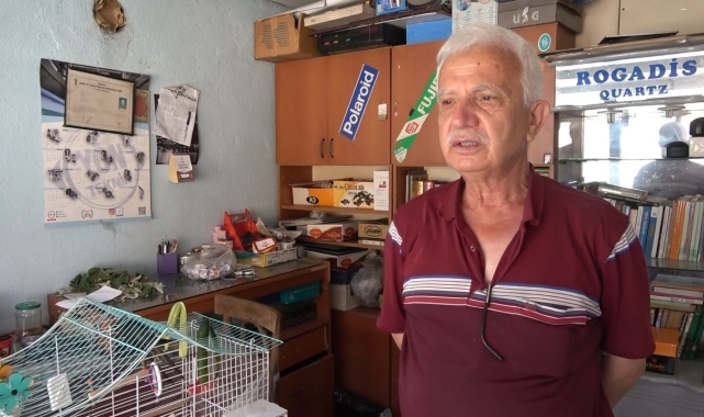 Ebabil kuşunu telef olmaktan son anda kurtardı
