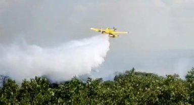 Edirne'de çıkan orman yangını kontrol altına alındı