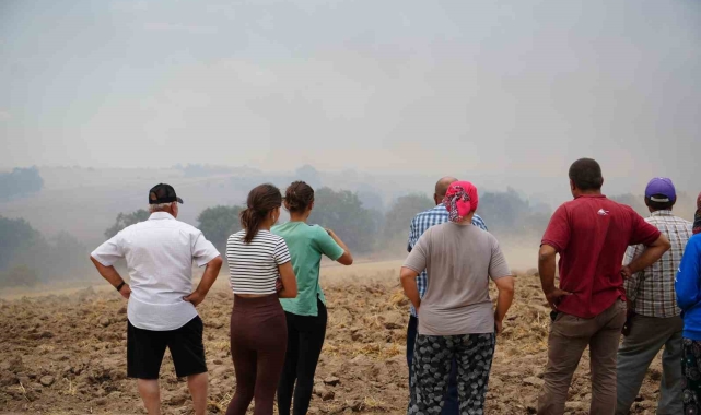 Edirne'deki orman yangınına havadan ve karadan müdahale sürüyor