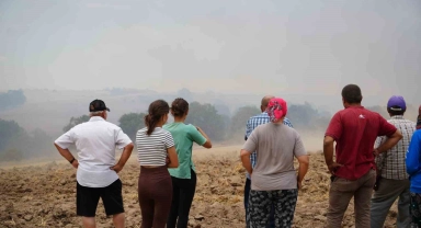 Edirne'deki orman yangınına havadan ve karadan müdahale sürüyor