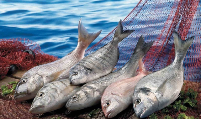 Ege'de tarımsal ürünler ihracatının lideri su ürünleri