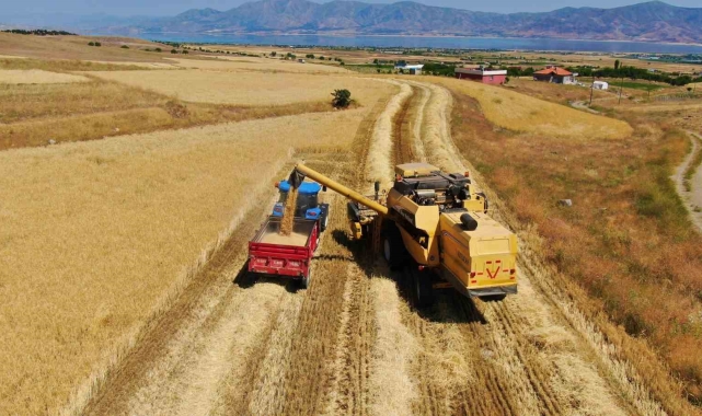 Elazığ'da 900 bin dekar alanda hasat yapılması bekleniyor