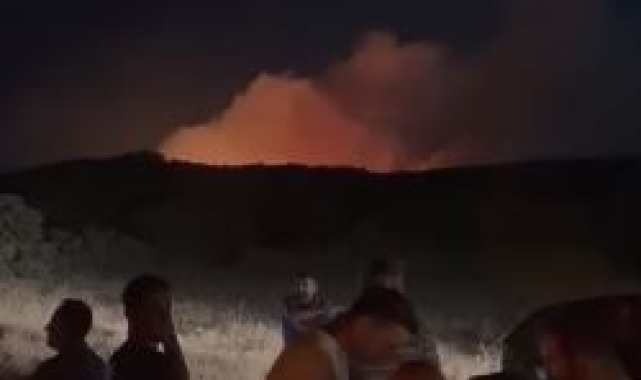 Elazığ'da orman yangını kontrol altına alındı