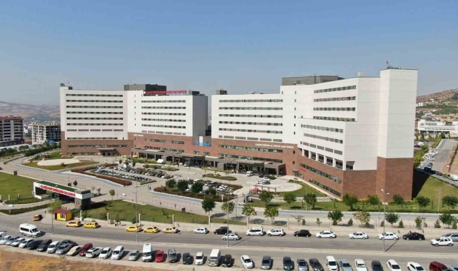 Elazığ'da yılanın soktuğu bir kişi hastaneye kaldırıldı