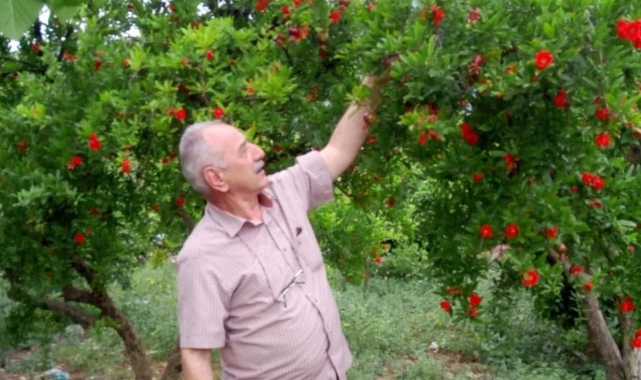 Emekli polis memuru tatil için geldiği Antalya'da boğularak hayatını kaybetti