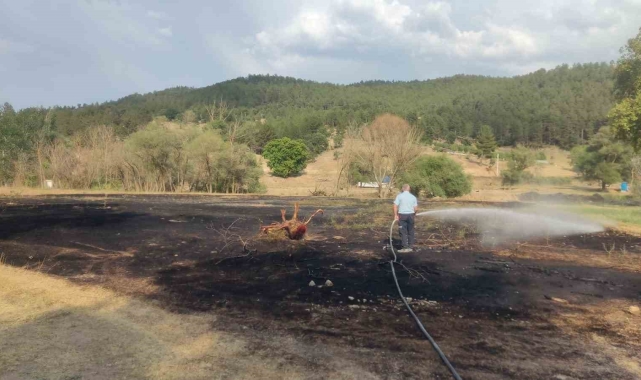 Emet'te mangal ateşinden çıkan yangından 2 dönüm ekili alan zarar gördü