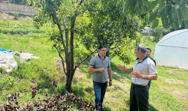 Endemik bir tür olan Kaleardı eriğinde hastalık ve zararlılara karşı kontroller yapıldı