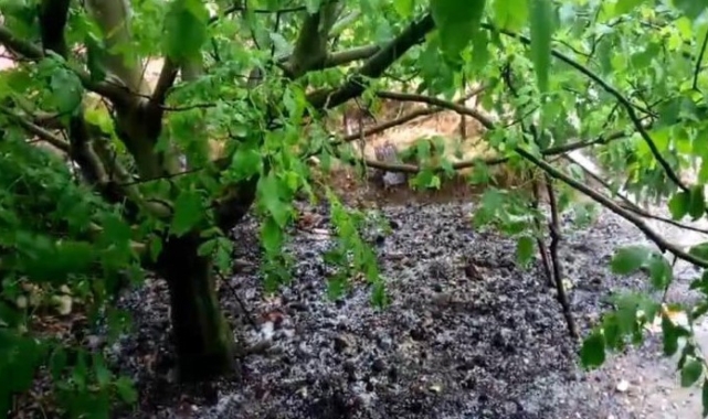 Erdemli'nin yüksek kesimlerinde sağanak ve dolu etkili oldu