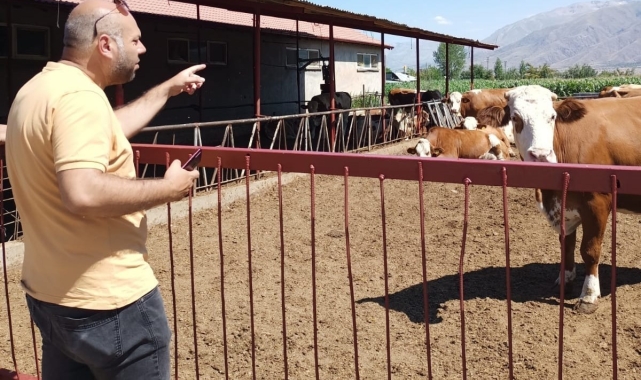 Erzincan'da hayvancılık işletmelerine sağlık taraması