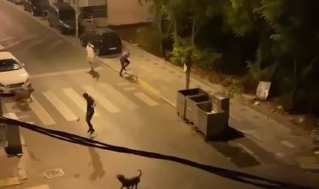 Esenyurt'ta bir şahıs 3 köpeğini bir adamın üzerine saldırttı
