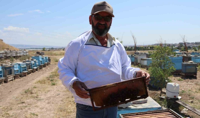 Eskişehirli arıcılar daha fazla destek bekliyor
