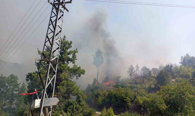 Evde çıkan yangın ormana sıçradı