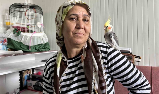 Evladım dediği papağanı günler sonra bulunan kadının göz yaşları yürekleri ısıttı