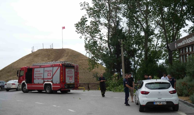 Fırtına ağacı kökünden söktü: 1 otomobil zarar gördü