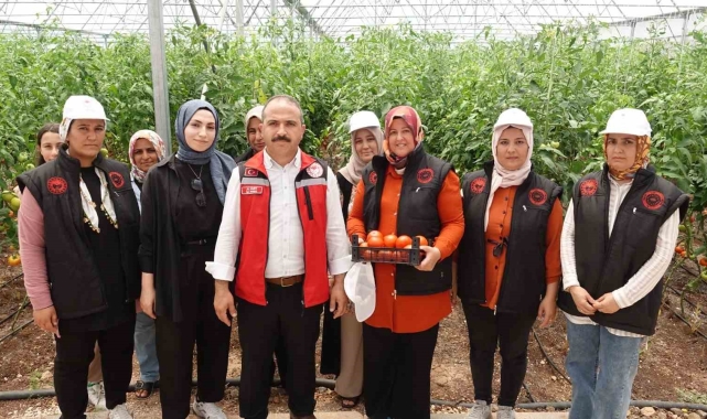 Gaziantep&#039;te seralara kadın eli değdi