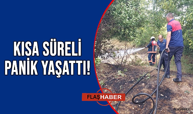 GERZE'DE KORKUTAN ÖRTÜ YANGINI!