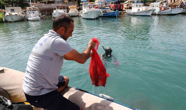 Gümbet'te deniz dibi temizliği