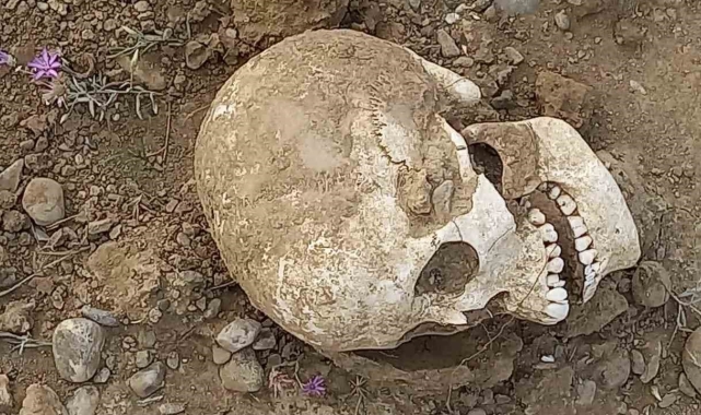 Gümüşhane'de yol ortasında insan kafatası bulundu