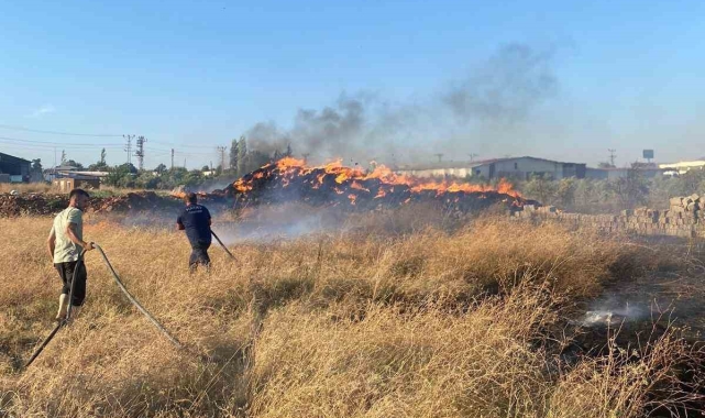 Hassa'da saman balyaları alevlere teslim oldu