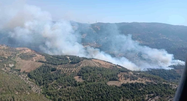 Hatay'da orman yangını