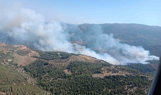 Hatay'da orman yangını