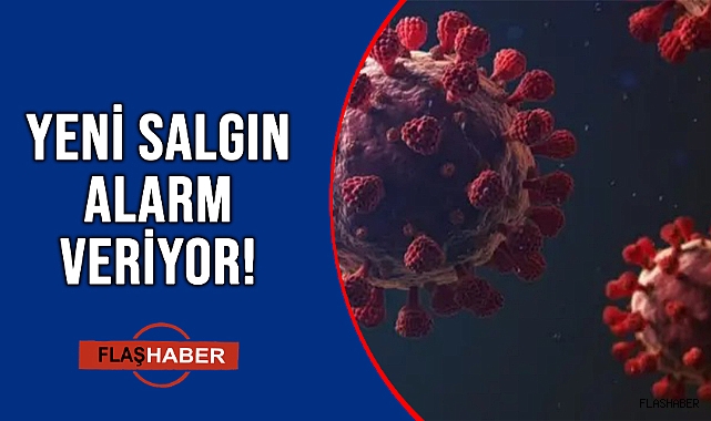 HIZLA ARTIŞ GÖSTERİYOR!