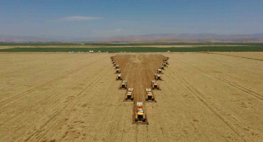 Hububat hasadından 7 milyar TL gelir bekleniyor