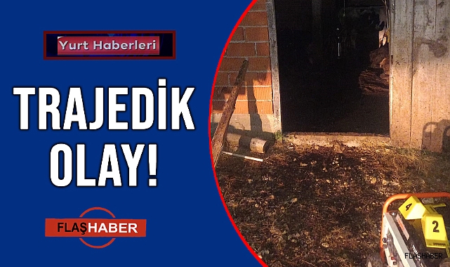 HUYSUZ İNEK SAHİBİNİ ÖLDÜRDÜ!