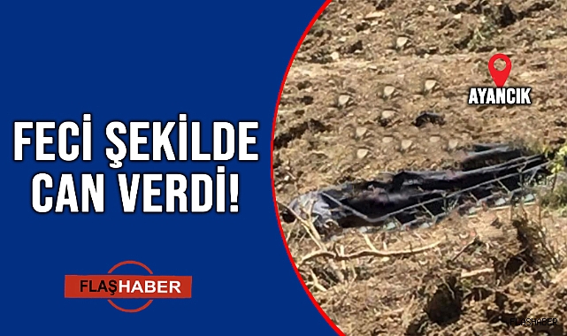 İŞ MAKİNESİNİN ALTINDA KALDI!