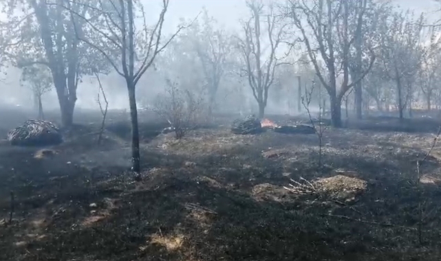 Isparta'da meyve bahçesinde çıkan yangında ağaçlar ve samanlar kül oldu