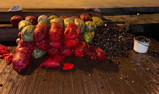 İstanbul'da 1 ton kaçak midye ele geçirildi