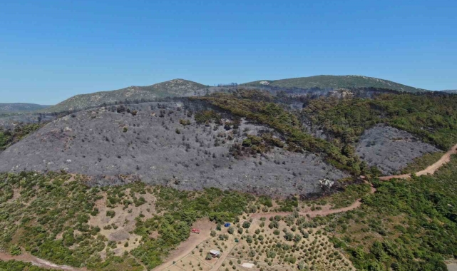 İzmir Urla'daki yangının boyutu havadan görüntülendi