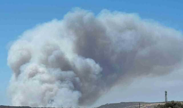 İzmir'in Çeşme ilçesi Delikli Koy mevkiinde 1'i kadın 3 kişinin yaşamını yitirdiği orman yangını kontrol altına alındı. Hayatını kaybeden iki erkeğin aynı aileden oldukları öğrenildi.
