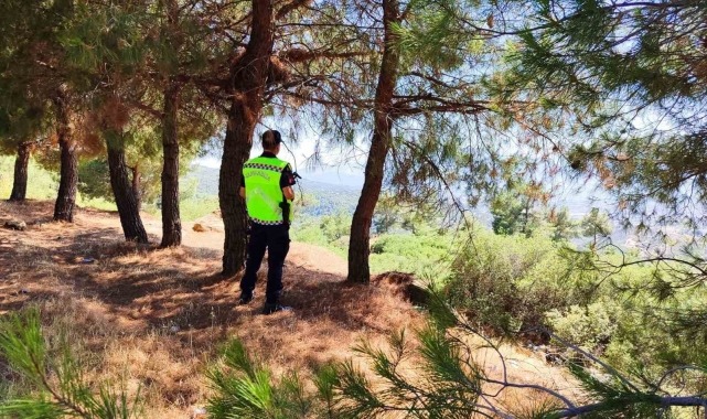 Jandarma ekipleri yasak bölgeye giren şahıslara cezai işlem uyguladı
