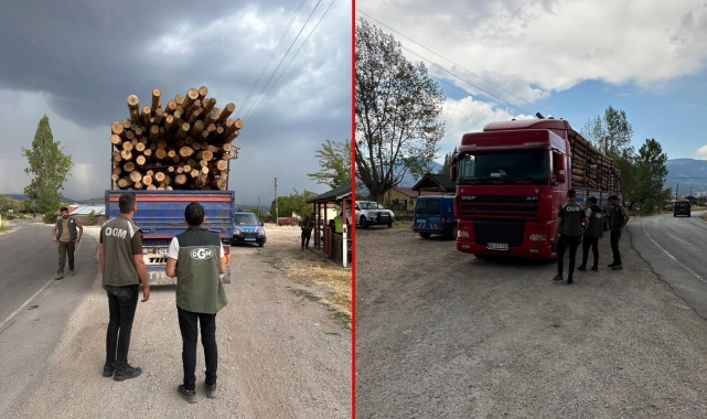 Kaçak orman emvaline geçit yok