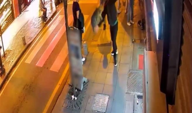 Kağıthane'de köpeklere saldıran "Gri Aslan" lakaplı kedi kamerada: Esnafı canından bezdirdi