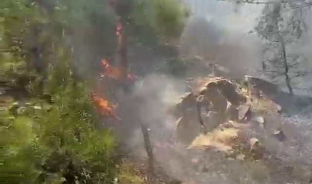Kahramanmaraş'ta orman yangını