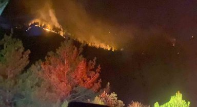 Kahramanmaraş'taki orman yangını 18 saat sonra kontrol altına alındı