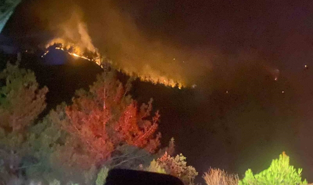 Kahramanmaraş'taki orman yangını 18 saat sonra kontrol altına alındı