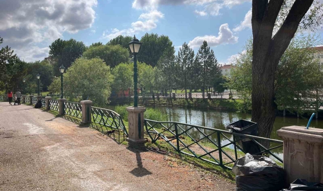 Kalın gövdeli ağaç yürüyüş yoluna devrildi