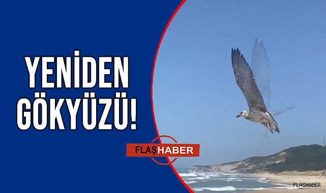 KANATLAR ÖZGÜRLÜĞE AÇILDI!