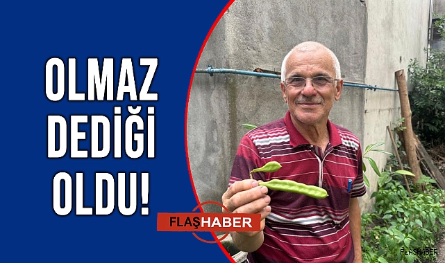 SİNOP'TA KEÇİBOYNUZU AĞACI YETİŞTİRDİ, GÖRENLER ŞAŞTI KALDI!