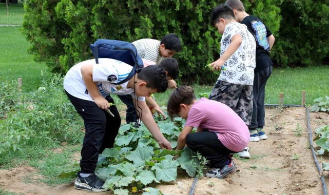 Karatay tabiat mektebi yaz dönemi eğitimleri sürüyor