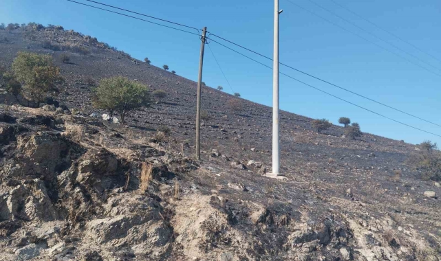 Karpuzlu'daki makilik yangın kontrol altına alındı