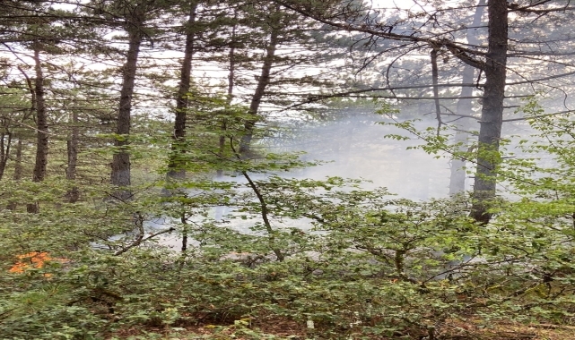 Kastamonu&#039;da çıkan orman yangınına müdahale ediliyor