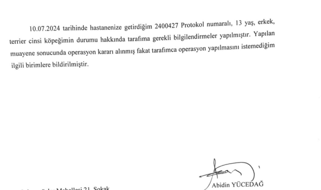 Kastamonu Üniversitesi'nden 'köpek' açıklaması
